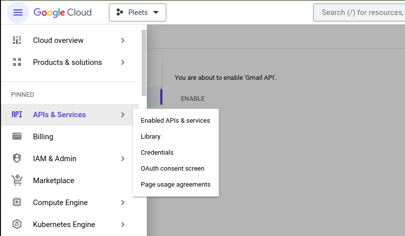captura de pantalla de habilitación de acceso a la API